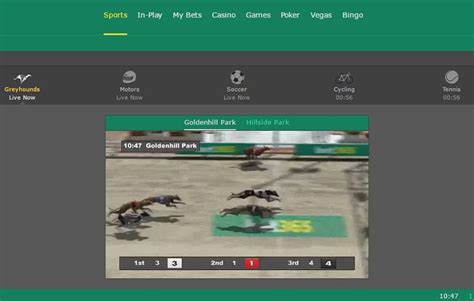 bet365 greyhound betting|uk greyhound odds checker.